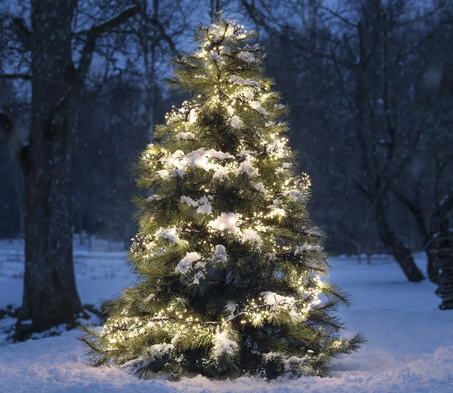 Konstsmide Warm White LED Cluster Christmas Lights