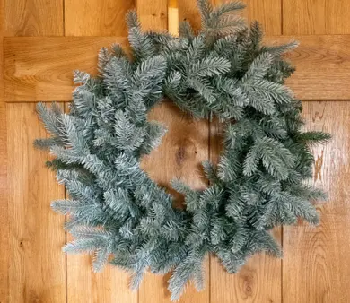 National Tree Co Frosted Mulberry Prelit Christmas Wreath