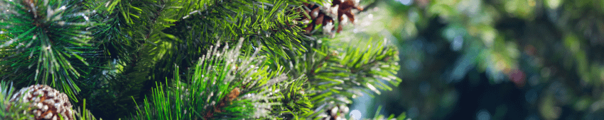 A close up view of the branches on a natural-look artificial green Christmas tree.